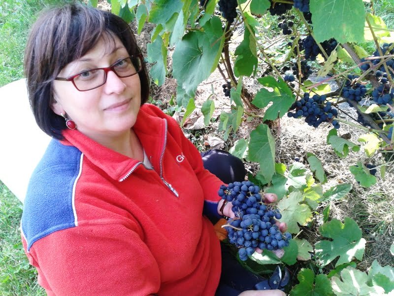 Dr. Asta Ramaškevičienė assures that the mission of grape cultivation in Lithuania is possible.
