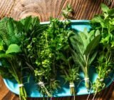 How to store aromatic herbs? Drying and freezing methods