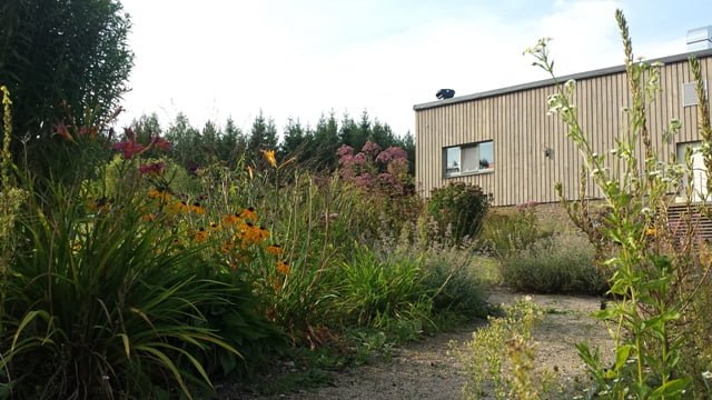 A natural looking walkway to a modern building. photo Trakai District, author of the project. Dovilė Ivanauskienė