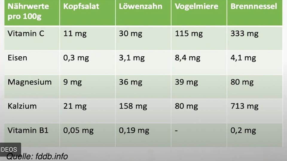 Nutrition table for nettle