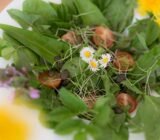 Everyone really likes wild herbs!