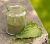 Spring in stock: Preserve wild herbs and use them year-round