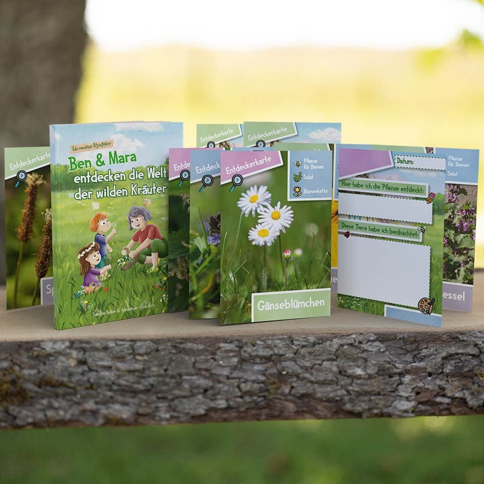 The discovery set for children with discovery cards