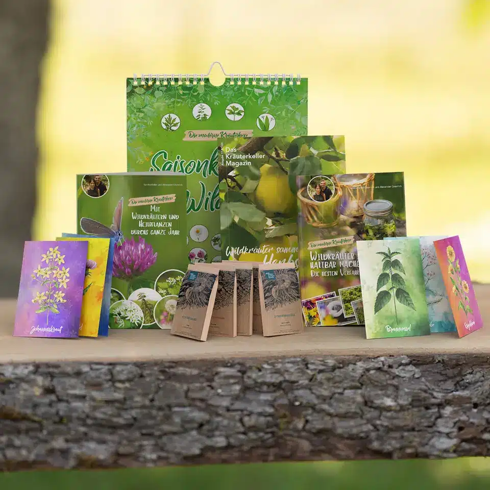 Starter set of wild herbs for autumn