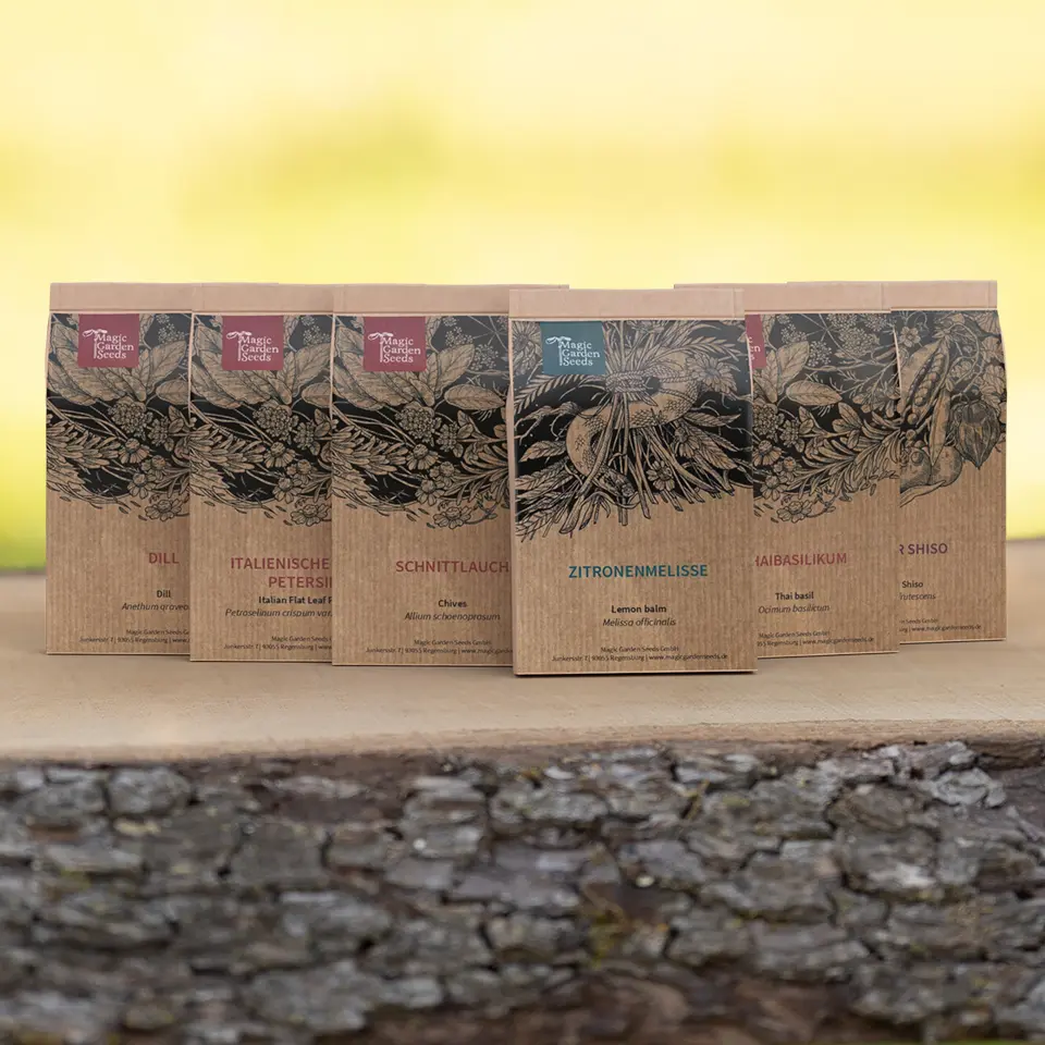 Set of fresh herb seeds for spring