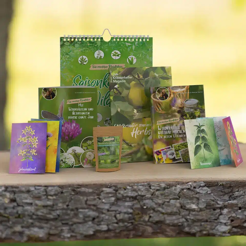 Starter set of wild herbs for autumn