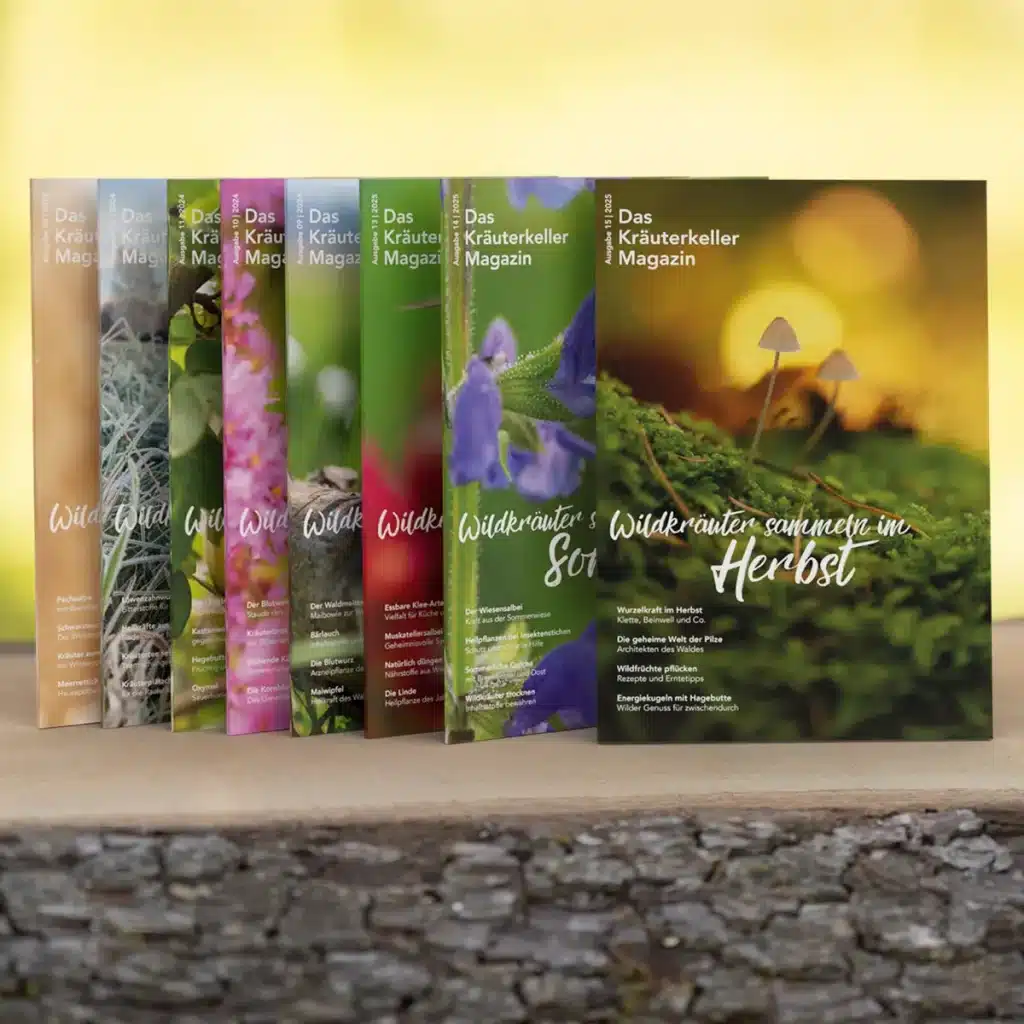 Year-round wild herb magazine