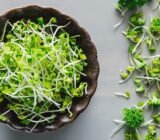 Prepare broccoli properly and grow it now in September for an everlasting harvest