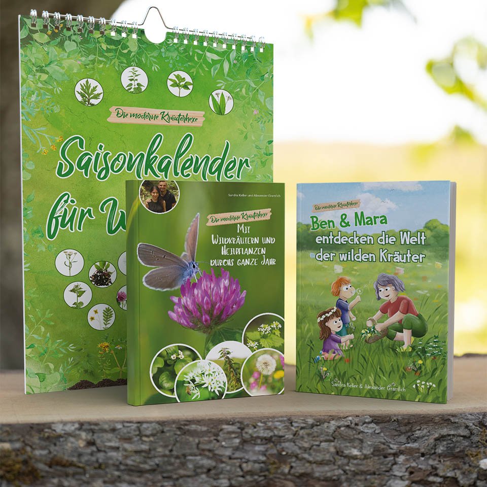 The set to discover wild herbs for the whole family