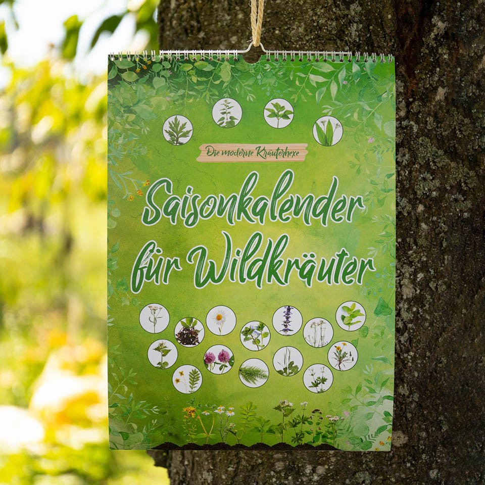 Our new seasonal wild herb calendar