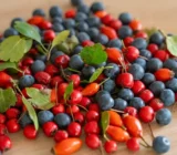 The 3 most important wild fruits of October