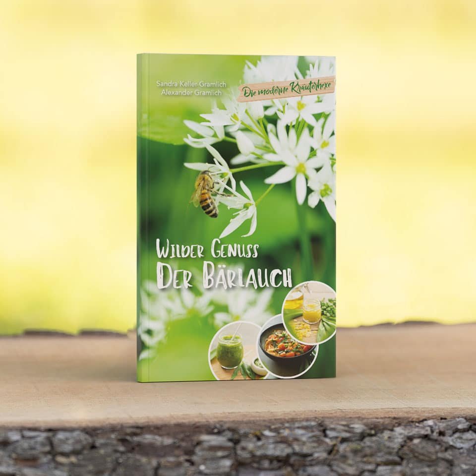 Wild garlic: wild pleasure