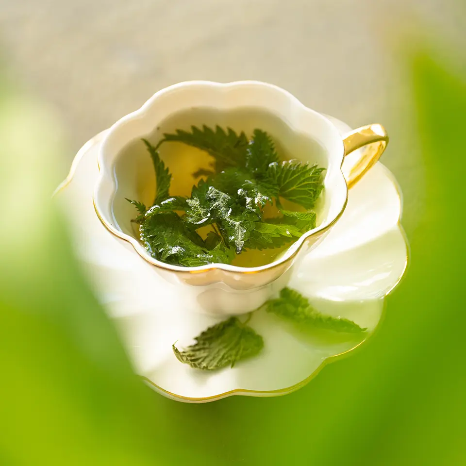 Nettle tea in autumn
