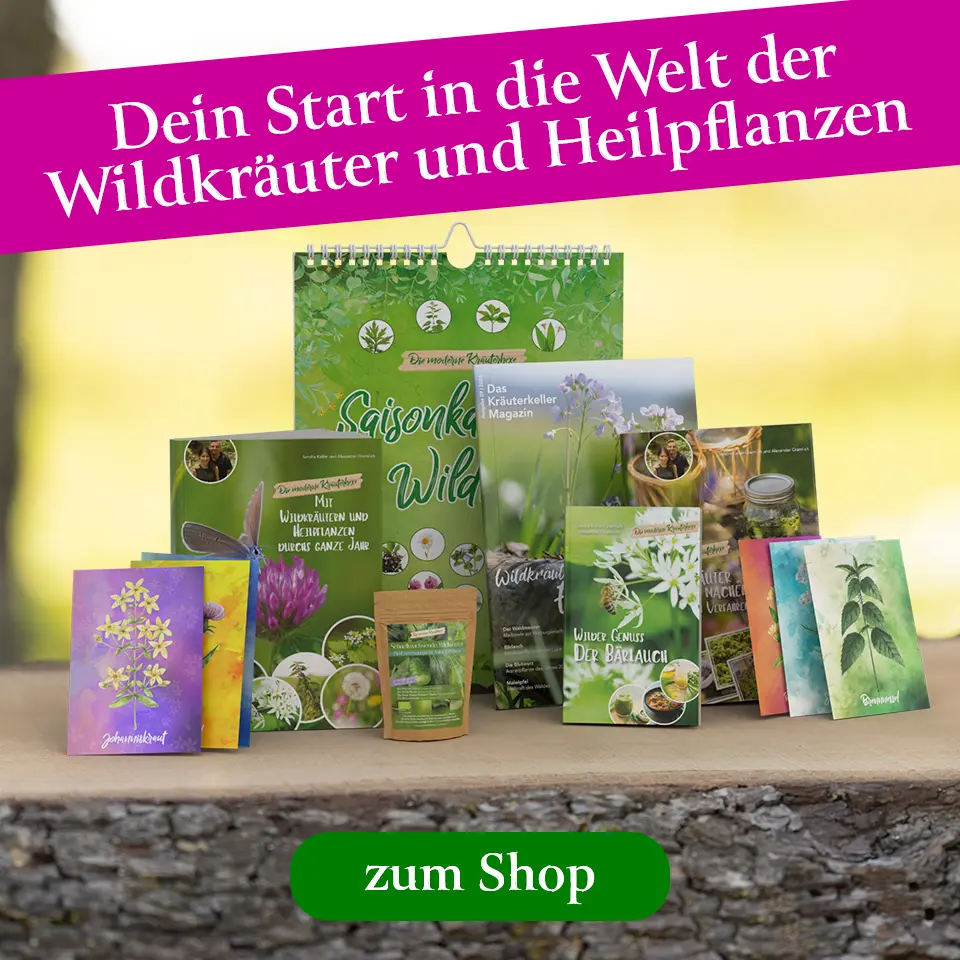 Starter set for wild herbs and medicinal plants
