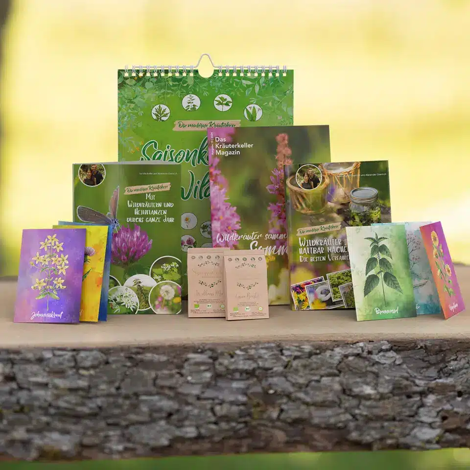 Starter set of wild herbs for summer