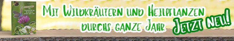 With wild herbs and medicinal plants all year round