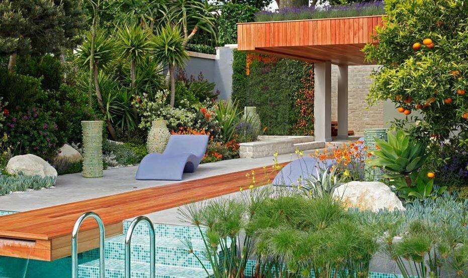 Composition of outdoor plants: decorative tips