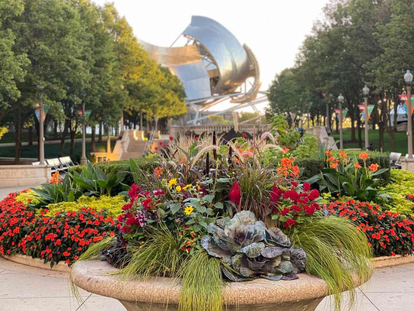 Composition of potted plants: ideas and inspirations