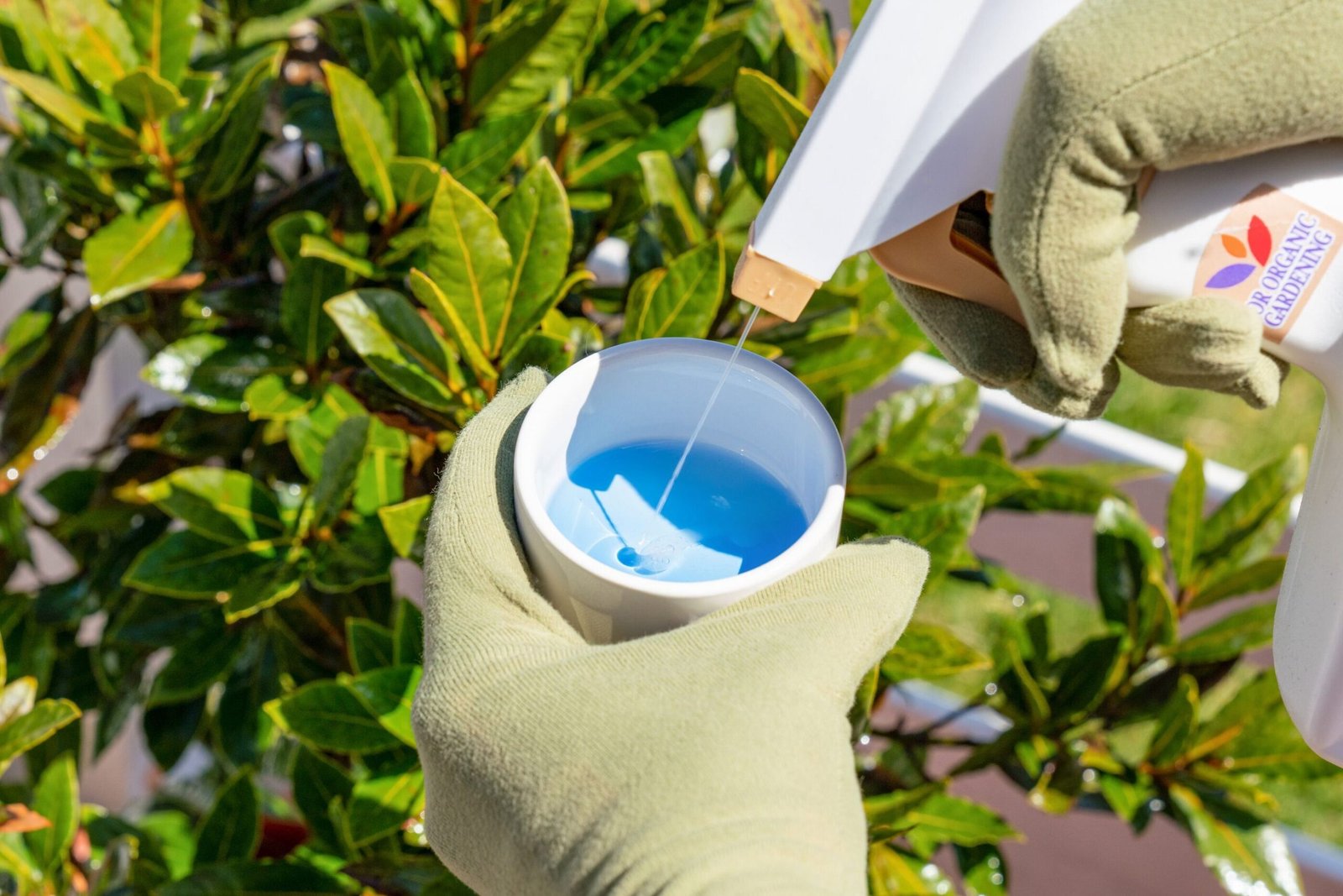 How to remove insects from plants: natural remedies