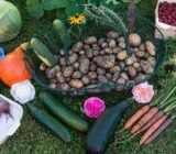 4 easy recipes with autumn fruit and vegetables #1