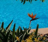 How to choose a pool heat pump? Power, COP, criteria…