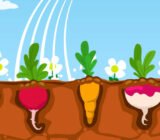 4 easy recipes with summer fruit and vegetables #1