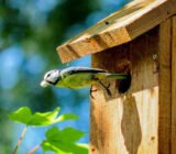 Seasonal maintenance and new installation