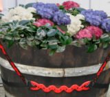 Heavy and bulky flower pots: move them effortlessly