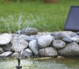 How to install a pond in your garden?