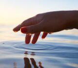 Why is the water balance of the swimming pool important? Th, pH and TAC