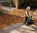 All garden activities in autumn for a flowery spring!