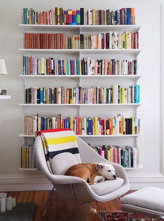lap armchair Eero Saarinen Cão